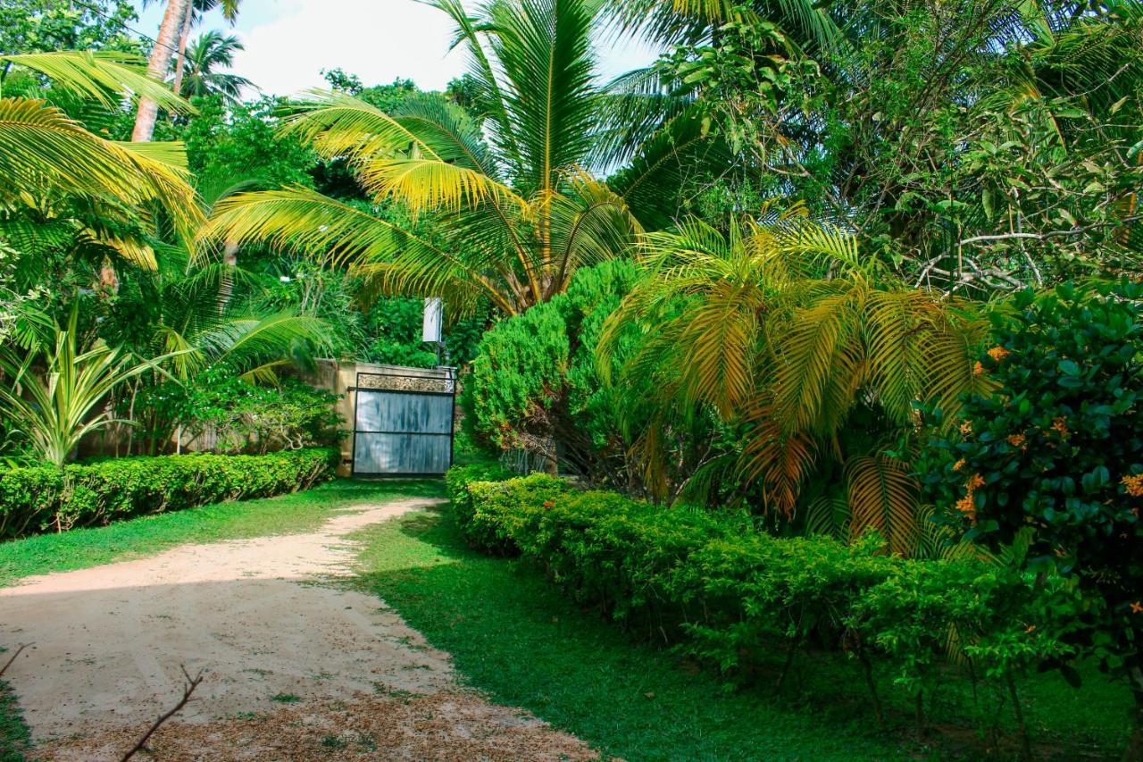 Lilac Garden Mirissa Велигама Экстерьер фото